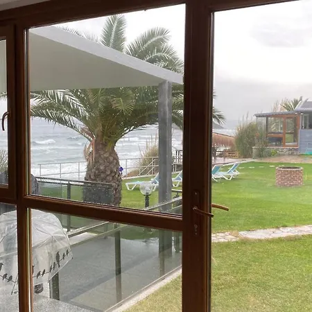 Hotel del amor Palm