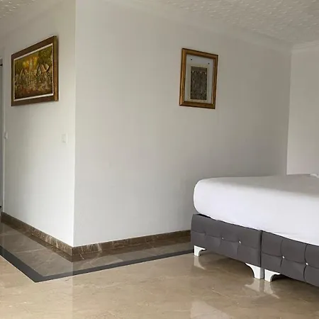 Hotel del amor Palm *