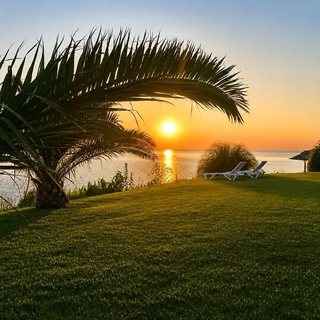 Palm Ağva