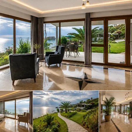 Palm Timebasishotel