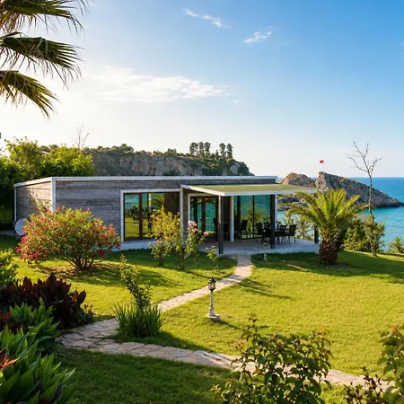 Timebasishotel Palm