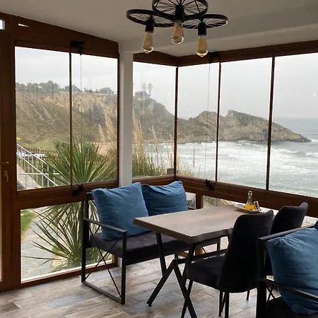 Palm Ağva