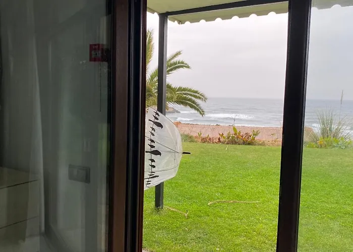 Palm Отель для свиданий Шиле