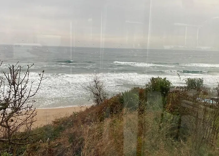 Отель для свиданий Palm *