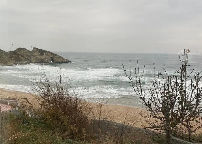 Отель для свиданий Palm Шиле