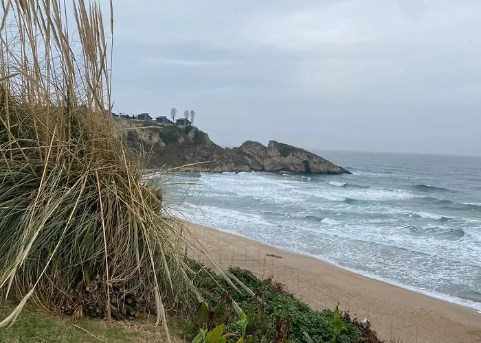 Отель для свиданий Palm *