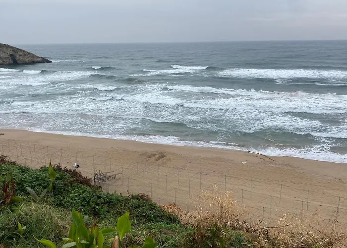 Отель для свиданий Palm *