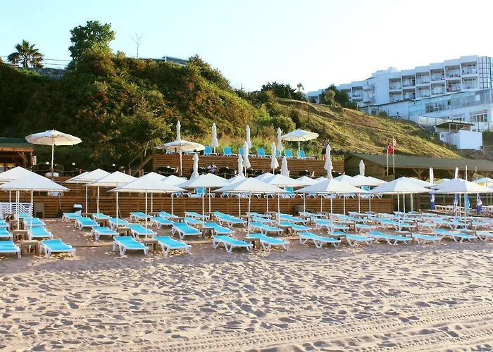 Отель для свиданий Palm Шиле