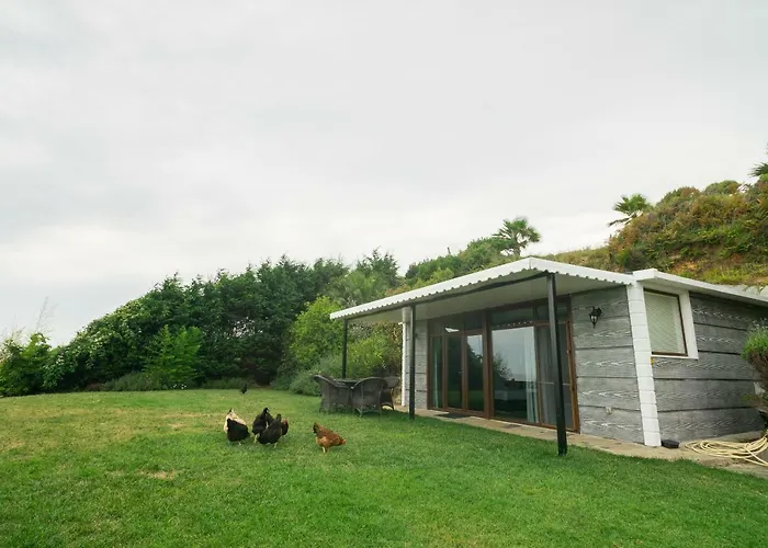 Palm Отель для свиданий Шиле