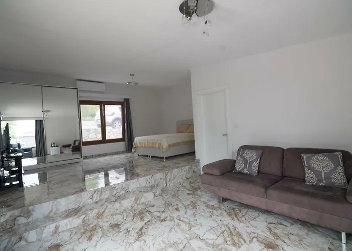 Отель для свиданий Palm Шиле